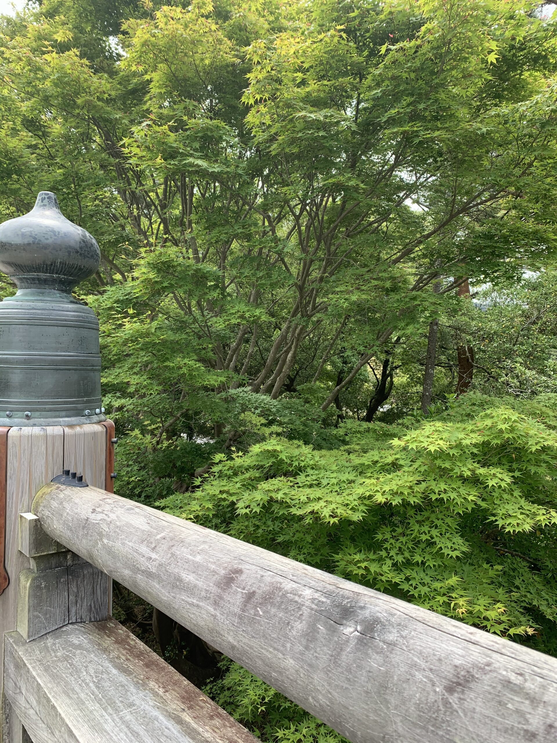 C4CB6987-8E5F-4E75-AA1B-6A4C926D2432